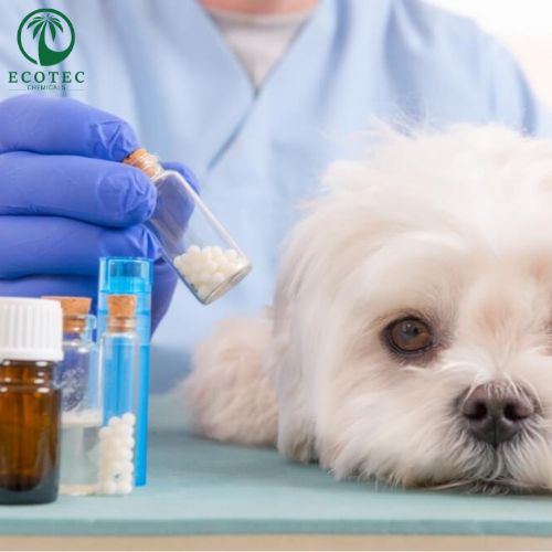 Veterinary Drug Ingredients