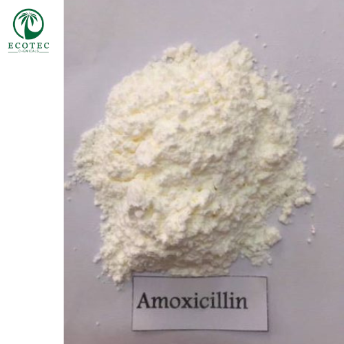 Amoxicillin