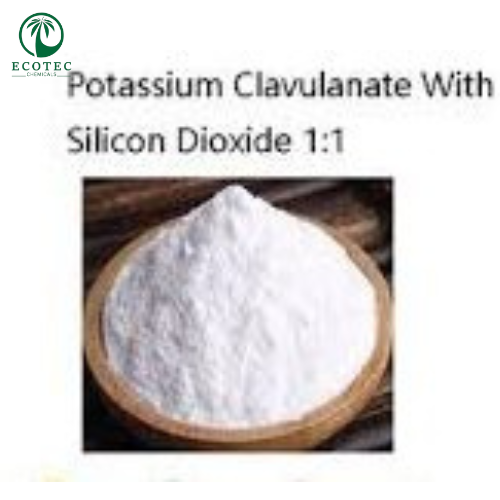 Clavulanate Potassium With Silicon Dioxide (1:1)